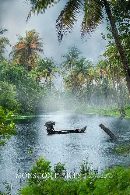 Early Monsoon 2025